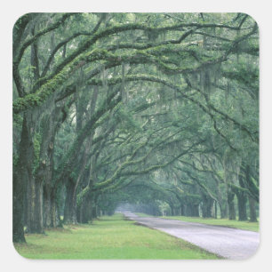 Sticker Carré Amérique du Nord, États-Unis, Géorgie, Savannah,