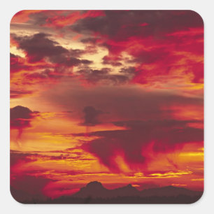 Sticker Carré Amérique du Nord, USA, Washington, Seattle. Soleil