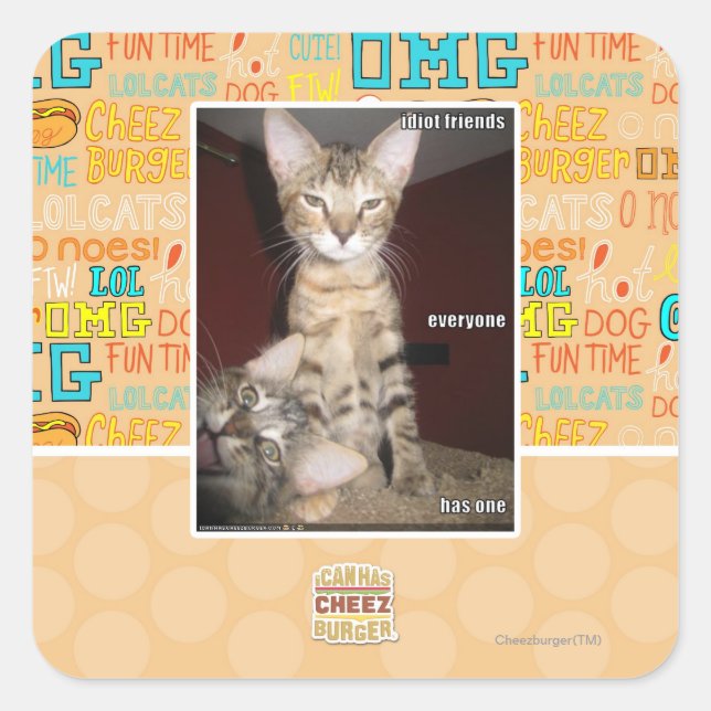 Sticker Carré Amis Idiot (Devant)