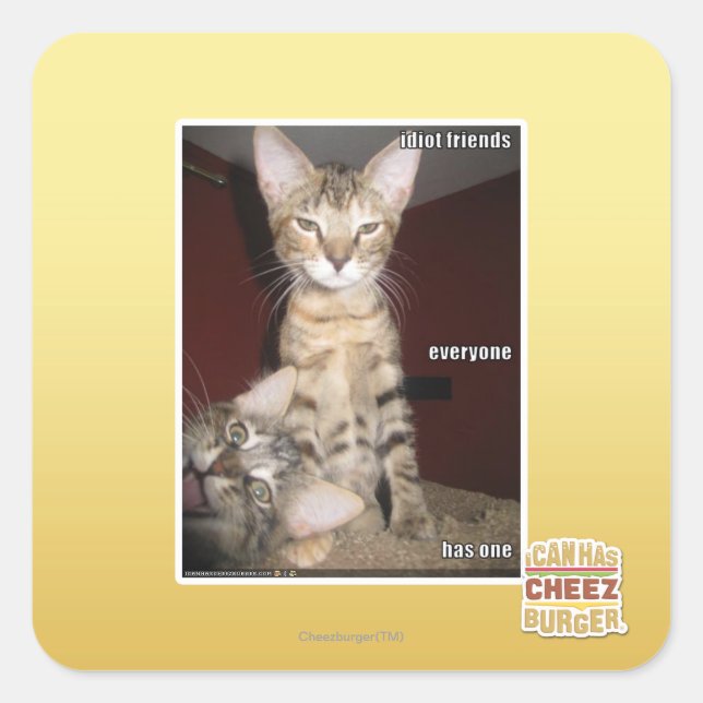 Sticker Carré Amis Idiot (Devant)