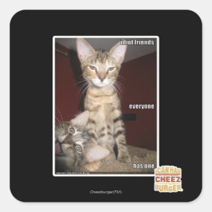 Sticker Carré Amis Idiot