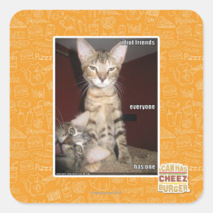 Sticker Carré Amis Idiot