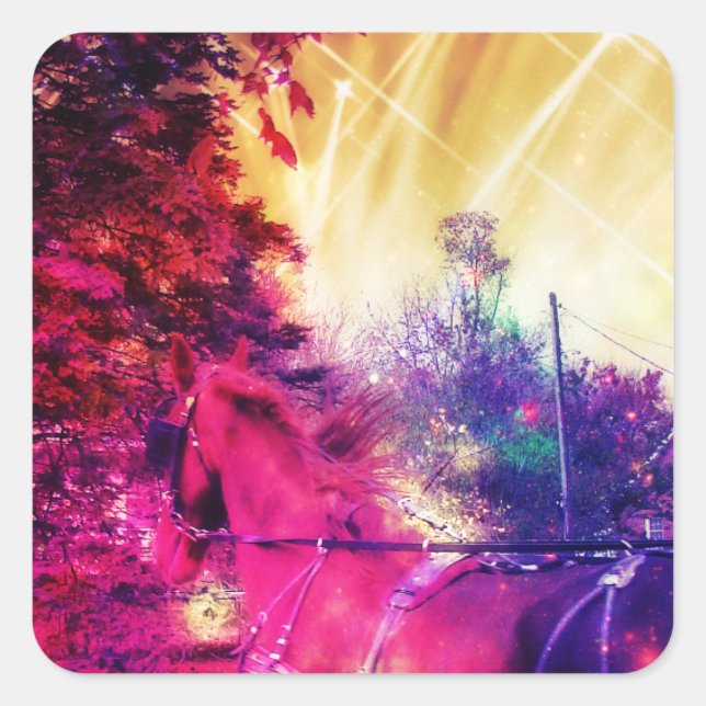 Sticker Carré Amish Horse et Buggy, Space Edit (Devant)