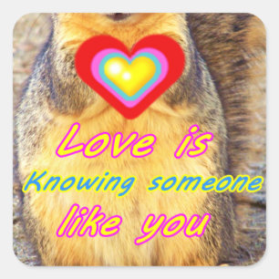 Sticker Carré Amour_