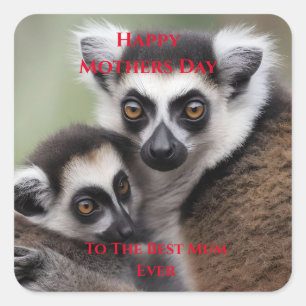 Sticker Carré **"Amour de la mère : Mummy and Baby Lemur Cuddlin