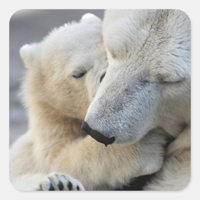 Sticker Carré Amour maternel (Devant)