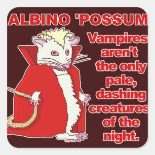Sticker Carré Amusant Albino Possum Vampire animal