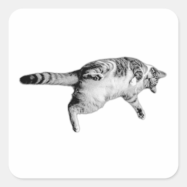 Sticker Carré Amusement à l'envers en monochrome (Devant)