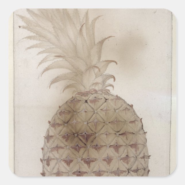 Sticker Carré Ananas, (Devant)