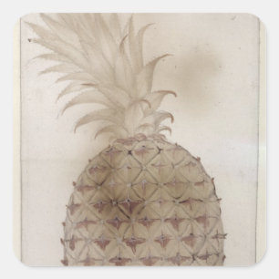 Sticker Carré Ananas,