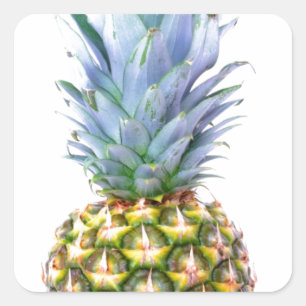 Sticker Carré Ananas Fruit Plage Dessert Coloré Tropical