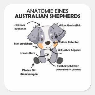 Sticker Carré Anatomie D'Un Berger Australien Chiens Doux
