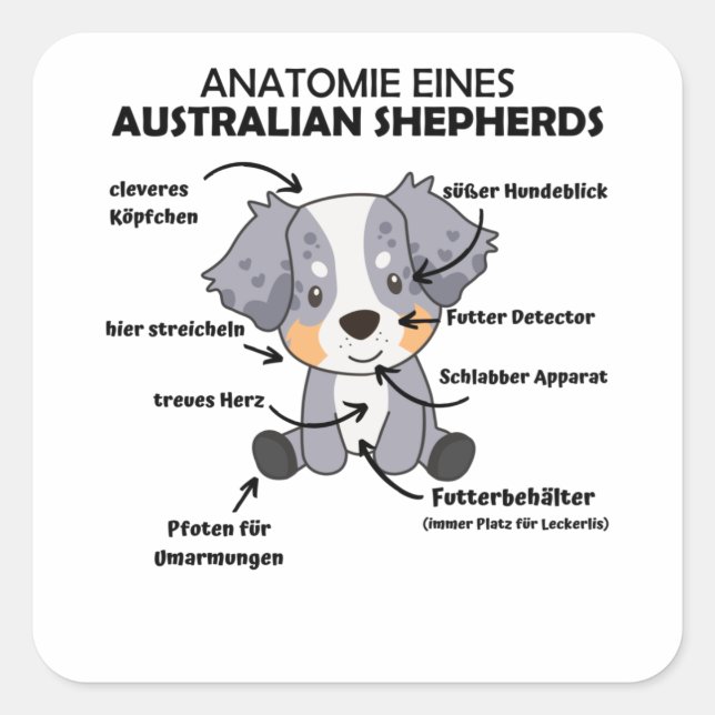 Sticker Carré Anatomie D'Un Berger Australien Chiens Doux (Devant)