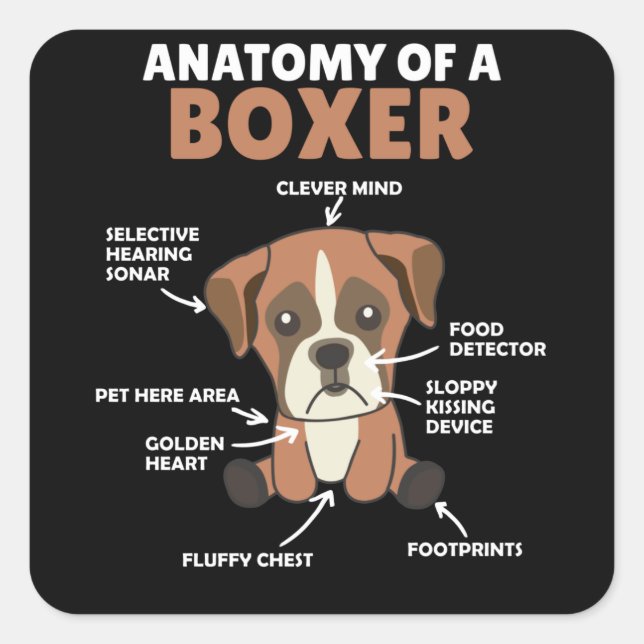 Sticker Carré Anatomie D'Un Chien Doux Boxer Chien Chien Chien C (Devant)