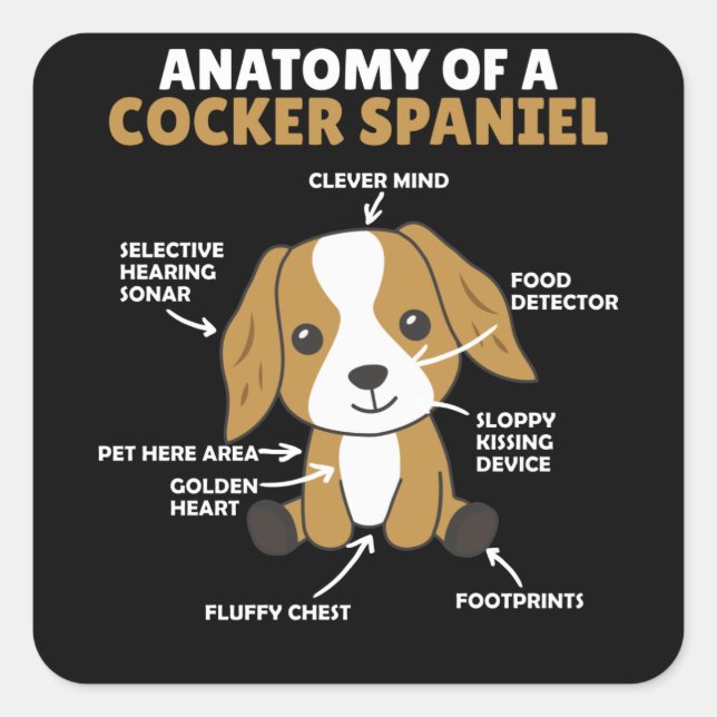Sticker Carré Anatomie D'Un Cocker Spaniel Cute Chiens Chiot (Devant)