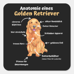 Sticker Carré Anatomie D'Un Golden Retriever Sweet Dogs Drôle