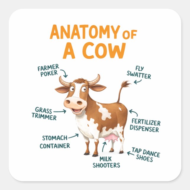 Sticker Carré Anatomy of a Cow | Funny Doctor Day (Devant)