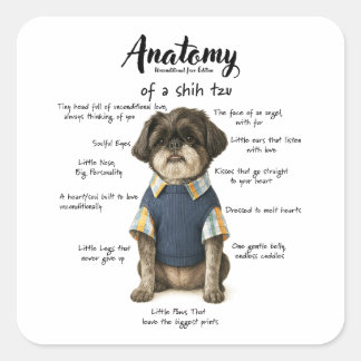 Sticker Carré Anatomy of a Shihtzu Unconditional Love Edition