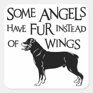 STICKER CARRÉ ANGEL ROTTWEILER