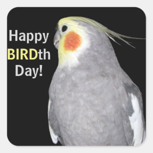 Sticker Carré Animaux de compagnie Cockatiel Photo Joyeux OISEAU