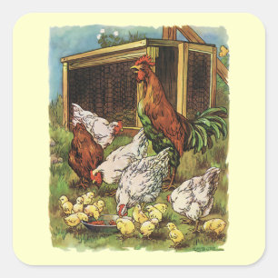 Sticker Carré Animaux de ferme vintage, coq, poules, poulets