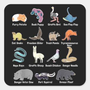 Sticker Carré Animaux Du Monde - Animaux Exotiques Rares M Drôle