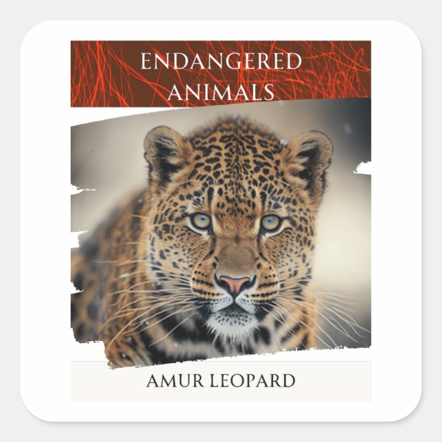 Sticker Carré Animaux en voie de disparition - Amur Leopard (Devant)