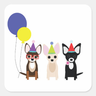 Sticker Carré anniversaire-chihuahuas-stelieandco