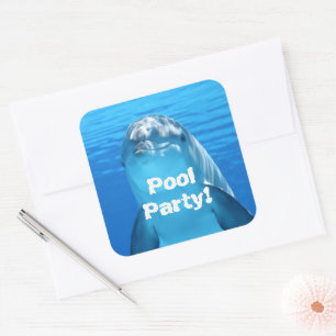 Sticker Carré Anniversaire Dauphin Visage Fête Piscine
