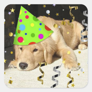 Sticker Carré Anniversaire fête Animal Golden Retriever