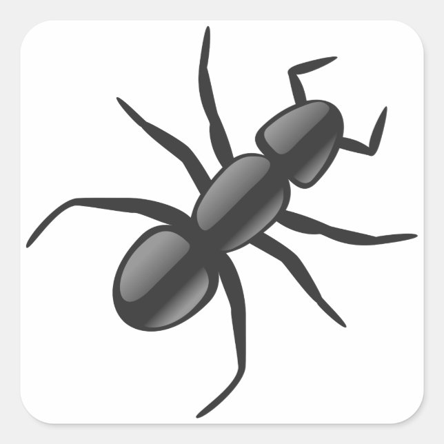 Sticker Carré Ant (Devant)