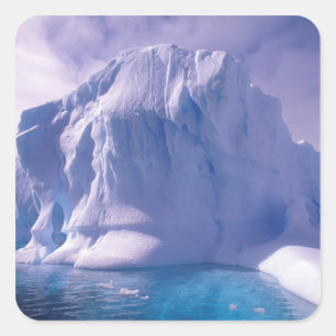 Sticker Carré Antarctique. Sauvages de glace antarctique