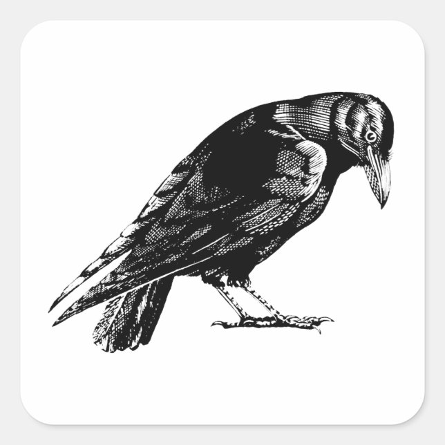 Sticker Carré Antique Crow Blackbird RavenTotebag (Devant)