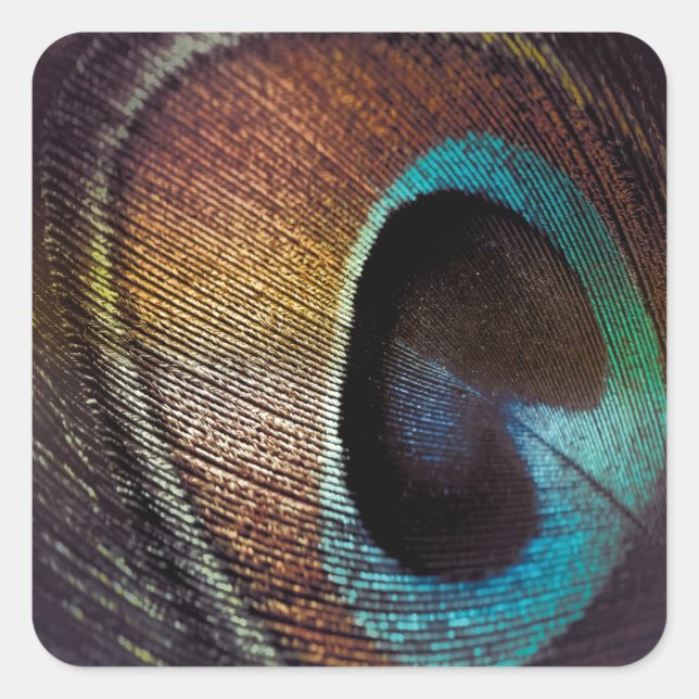 Sticker Carré Antique Hues Peacock Feather Eye (Devant)