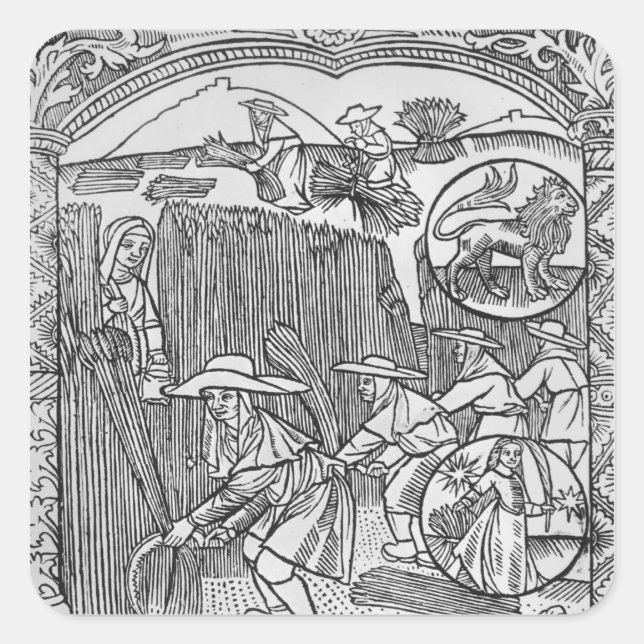 Sticker Carré Août, récolte, Leo (Devant)