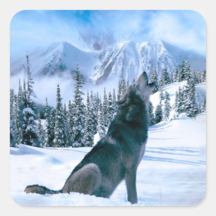 Sticker Carré Appel Wolf
