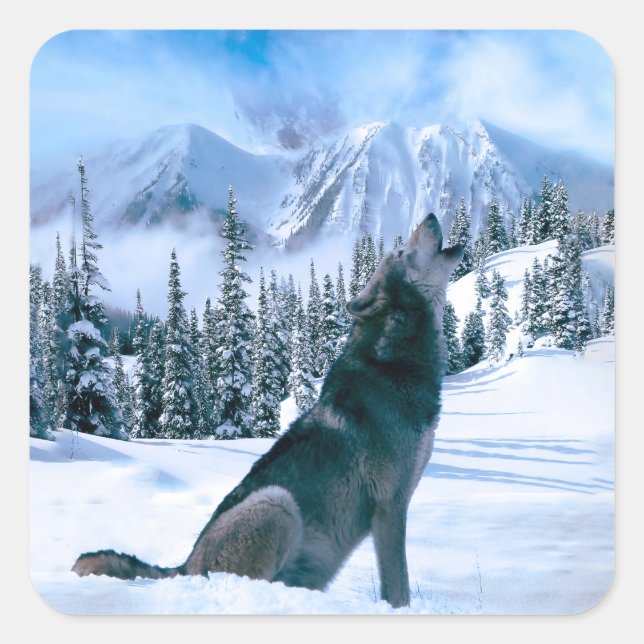 Sticker Carré Appel Wolf (Devant)