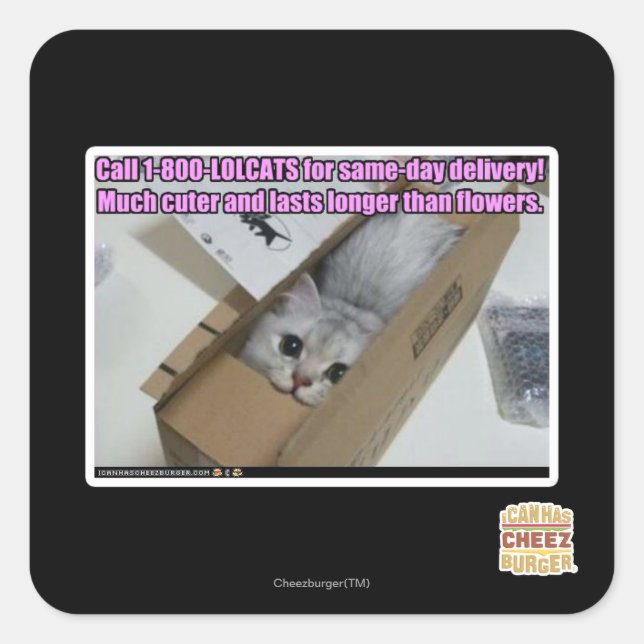 Sticker Carré Appelez 1-800-LOLCATS (Devant)