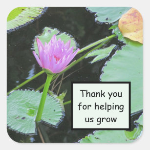 Sticker Carré Appréciation de l'employé Merci Lily d'eau rose