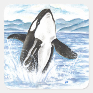 Sticker Carré Aquarelle Baleine Orca