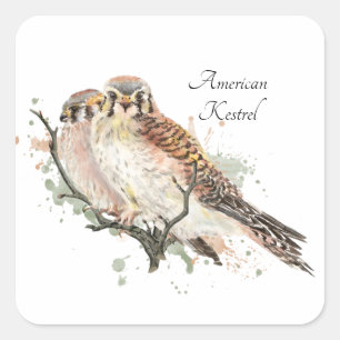 Sticker Carré Aquarelle Birding Kestrel Couple