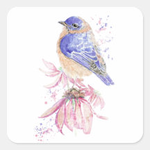 Aquarelle Bluebird Blue Bird Art pour