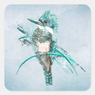 Sticker Carré Aquarelle Ceinturée Kingfisher Bird Carré animal