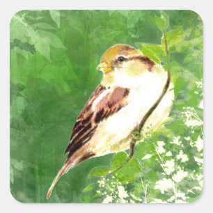 Sticker Carré Aquarelle Chanson Bruant Oiseau dans l'art foresti