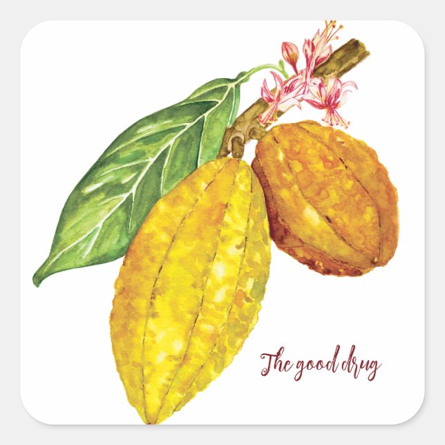 Sticker Carré Aquarelle chocolat fruit (Devant)