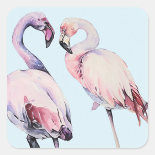 Sticker Carré Aquarelle Flamant rose peint Oiseaux