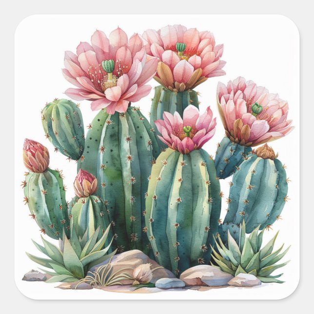 Sticker Carré Aquarelle fleurs du désert cactus. (Devant)