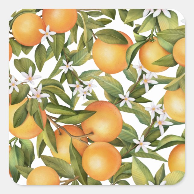 Sticker Carré Aquarelle Fruits orange et Fleur orange (Devant)