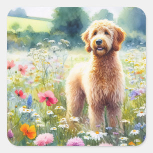 Sticker Carré Aquarelle Goldendoodle Chien Champ Fleur sauvage