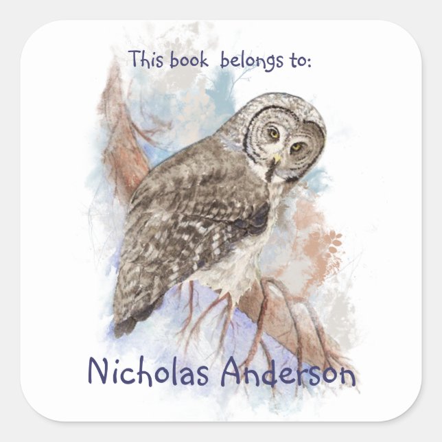 Sticker Carré Aquarelle Grande Chouette gris Oiseaux Plaque d'ar (Devant)